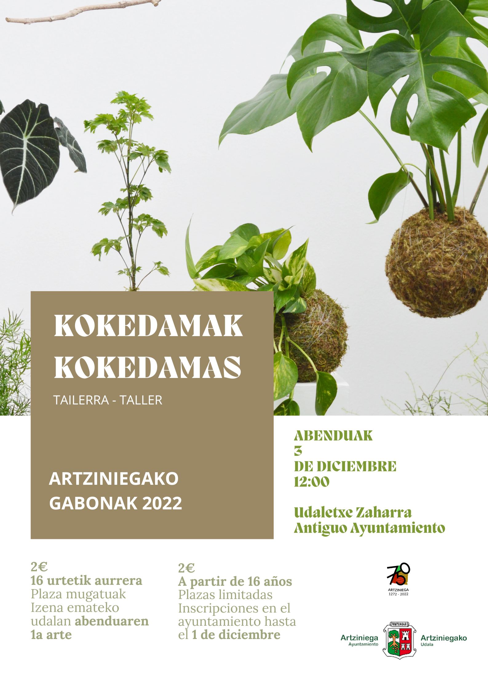 ARTZINIEGAKO GABONAK 2022: TALLER KOKEDAMAS (3 de diciembre a las 12:00 en el Antiguo Ayuntamieneto)